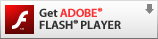 Adobe® Flash® Player